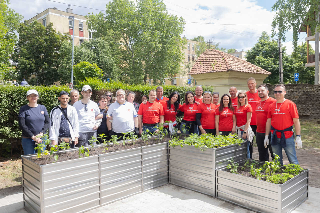 Social Day, Audi Hungaria, Mitarbeitende